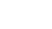 LEVANNI COLLECTION – Início